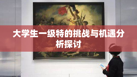 大学生一级特的挑战与机遇分析探讨
