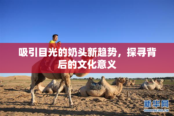 吸引目光的奶头新趋势，探寻背后的文化意义