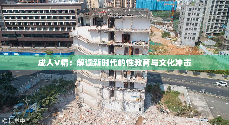 成人V精：解读新时代的性教育与文化冲击