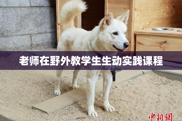 老师在野外教学生生动实践课程