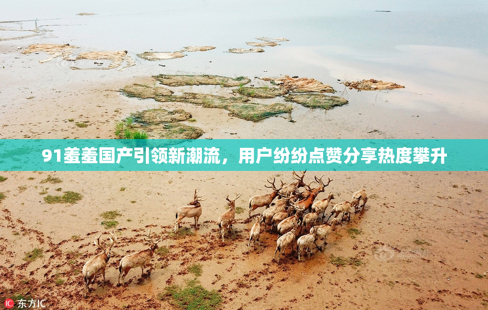 91羞羞国产引领新潮流，用户纷纷点赞分享热度攀升