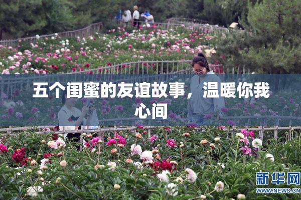 五个闺蜜的友谊故事，温暖你我心间