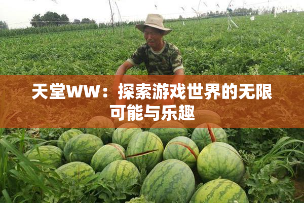 天堂WW：探索游戏世界的无限可能与乐趣