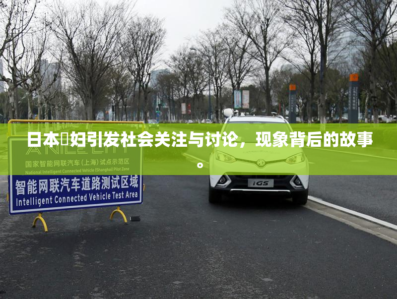 日本婬妇引发社会关注与讨论，现象背后的故事。