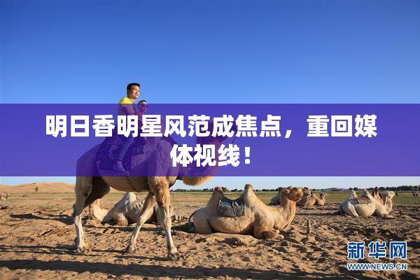 明日香明星风范成焦点，重回媒体视线！