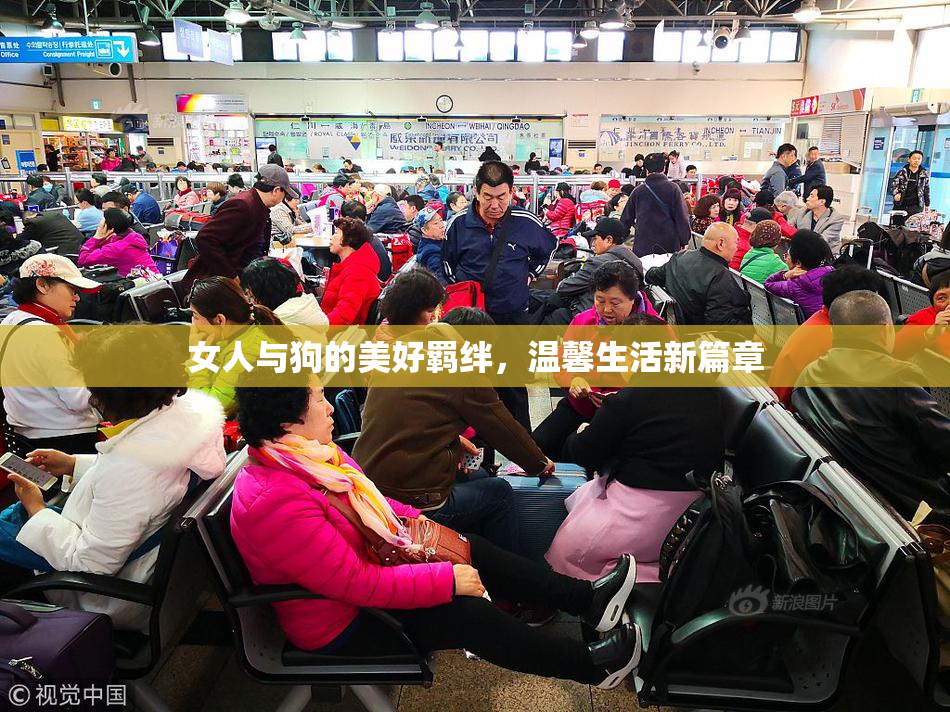 女人与狗的美好羁绊，温馨生活新篇章