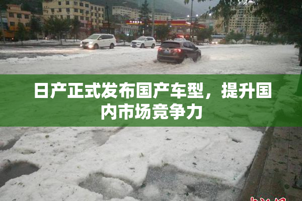 日产正式发布国产车型，提升国内市场竞争力