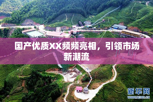 国产优质XX频频亮相，引领市场新潮流