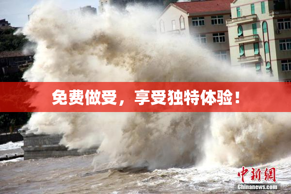 免费做受，享受独特体验！