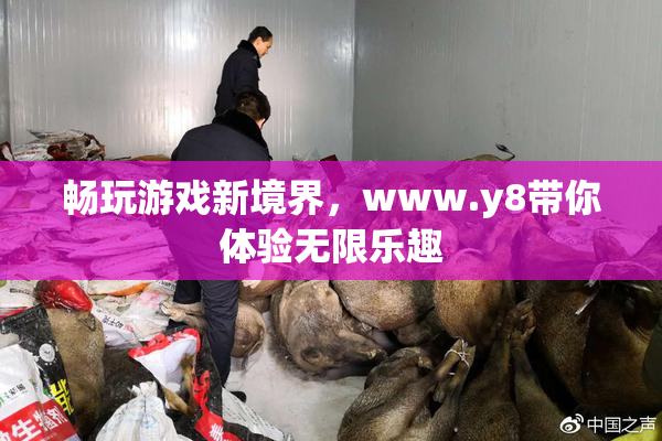 畅玩游戏新境界，www.y8带你体验无限乐趣