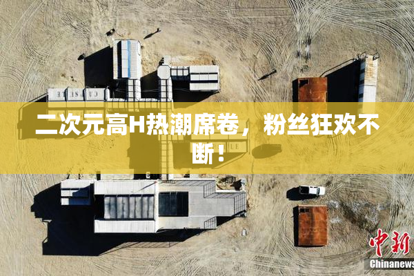 二次元高H热潮席卷，粉丝狂欢不断！