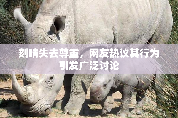 刻晴失去尊重，网友热议其行为引发广泛讨论