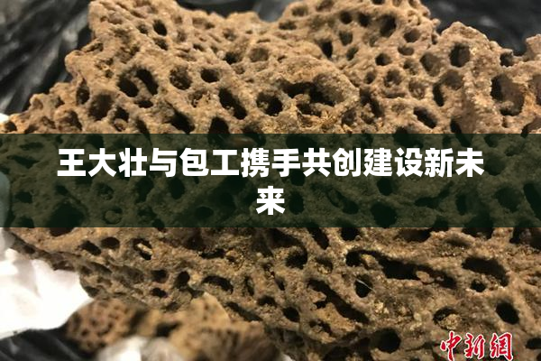 王大壮与包工携手共创建设新未来