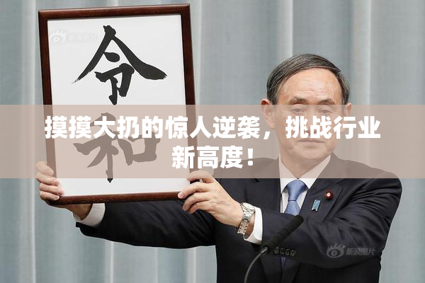 摸摸大扔的惊人逆袭，挑战行业新高度！