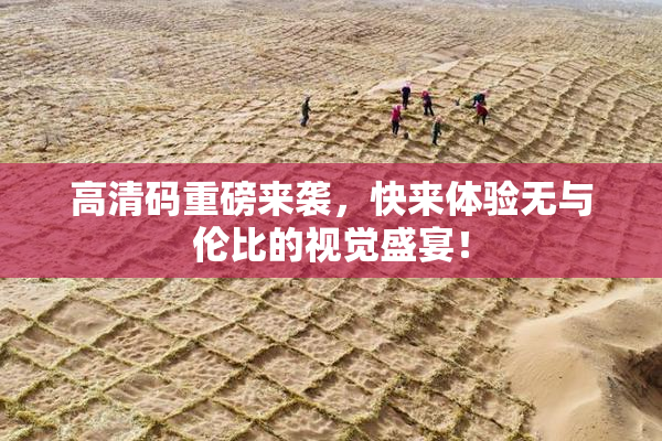 高清码重磅来袭，快来体验无与伦比的视觉盛宴！