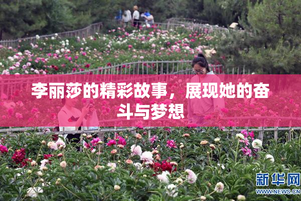 李丽莎的精彩故事，展现她的奋斗与梦想