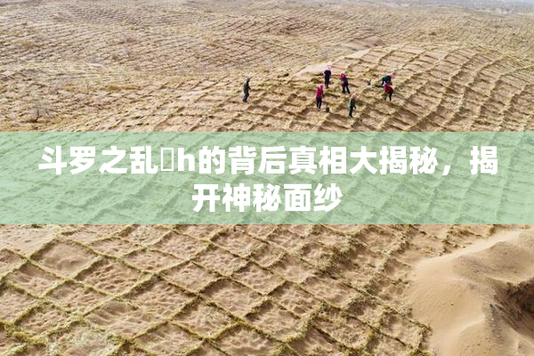 斗罗之乱婬h的背后真相大揭秘，揭开神秘面纱