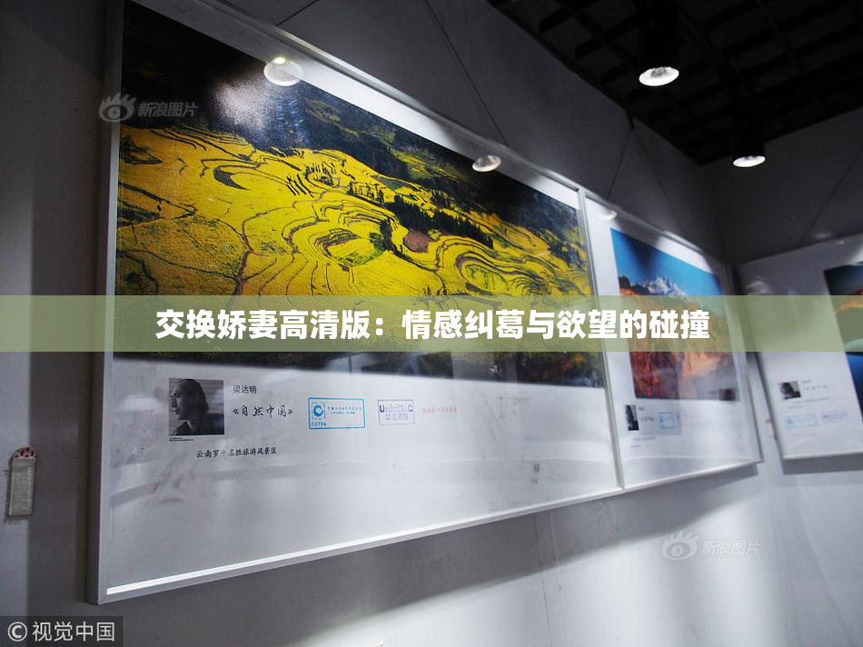 交换娇妻高清版：情感纠葛与欲望的碰撞
