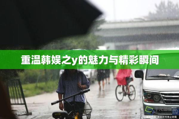 重温韩娱之y的魅力与精彩瞬间