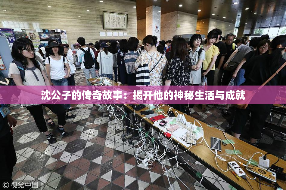 沈公子的传奇故事：揭开他的神秘生活与成就