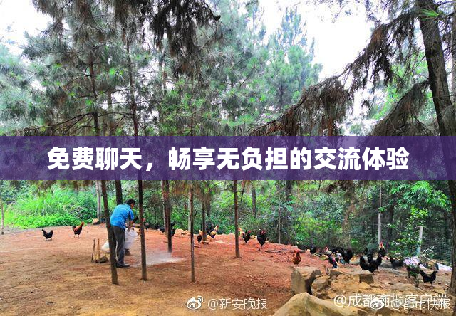 免费聊天，畅享无负担的交流体验