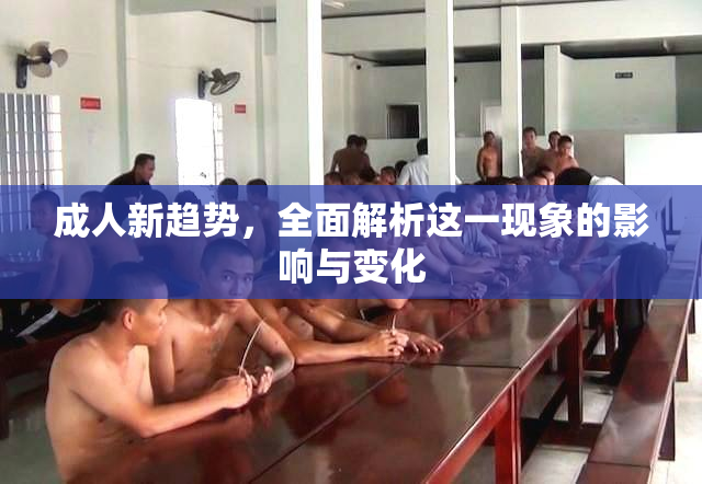 成人新趋势，全面解析这一现象的影响与变化