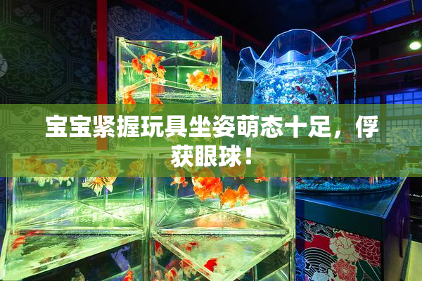 宝宝紧握玩具坐姿萌态十足，俘获眼球！