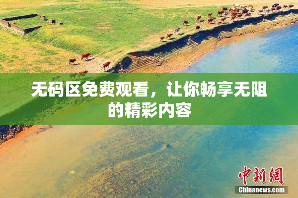 无码区免费观看，让你畅享无阻的精彩内容