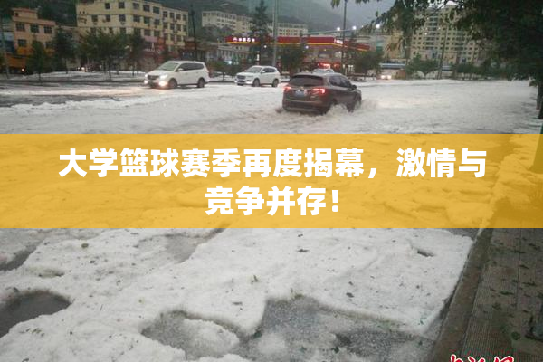 大学篮球赛季再度揭幕，激情与竞争并存！