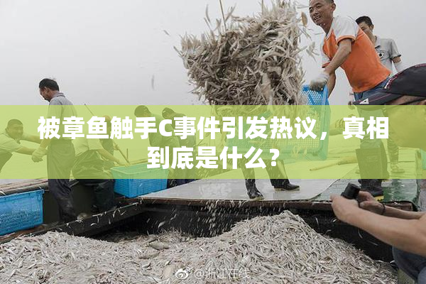 被章鱼触手C事件引发热议，真相到底是什么？