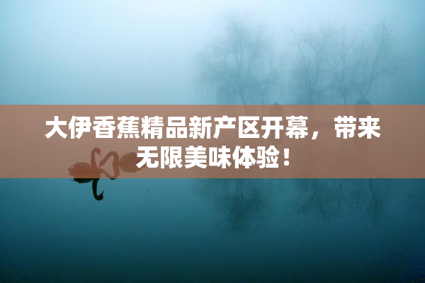 大伊香蕉精品新产区开幕，带来无限美味体验！