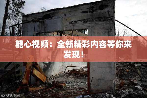 糖心视频：全新精彩内容等你来发现！