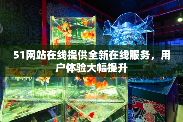 51网站在线提供全新在线服务，用户体验大幅提升