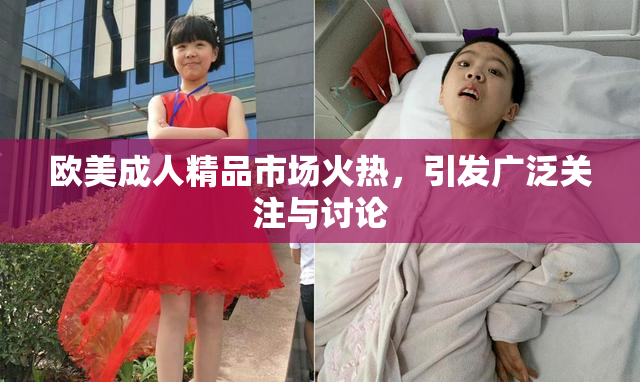 欧美成人精品市场火热，引发广泛关注与讨论