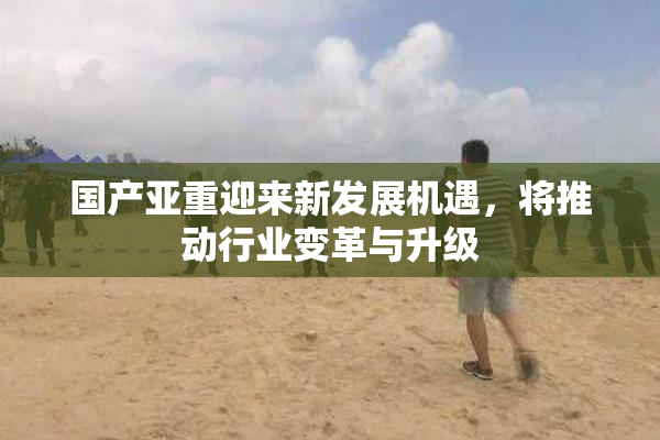 国产亚重迎来新发展机遇，将推动行业变革与升级