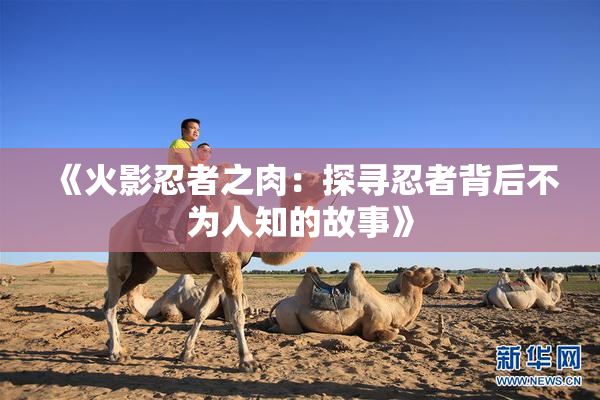 《火影忍者之肉：探寻忍者背后不为人知的故事》