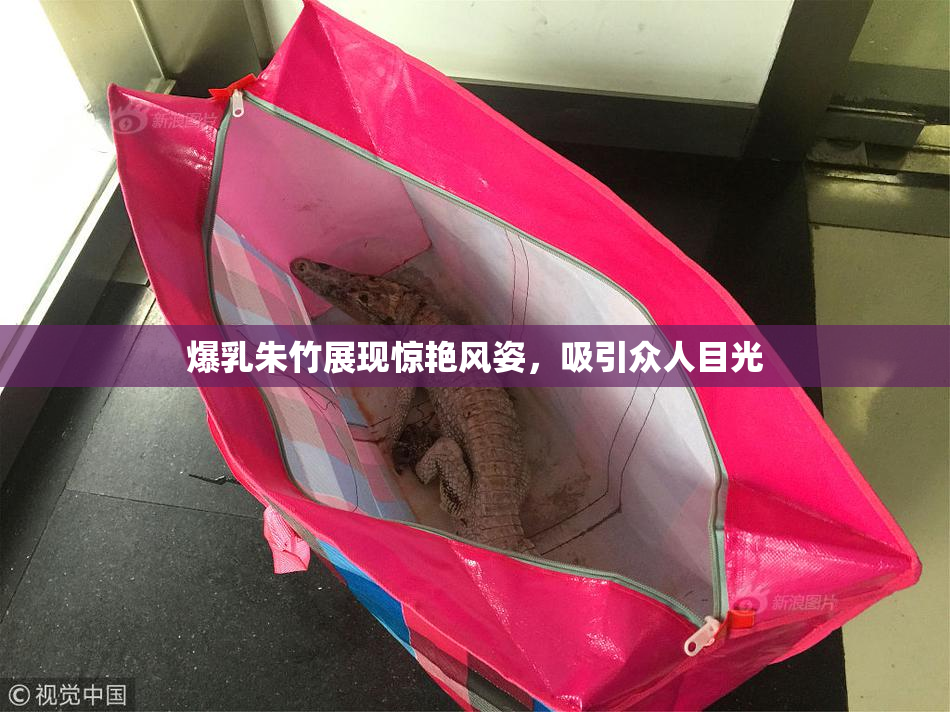 爆乳朱竹展现惊艳风姿，吸引众人目光