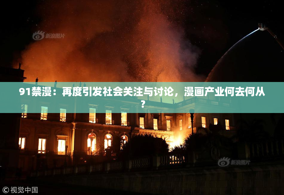 91禁漫：再度引发社会关注与讨论，漫画产业何去何从？