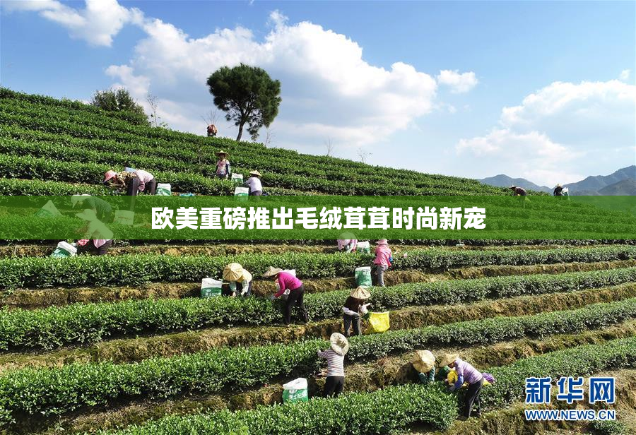 欧美重磅推出毛绒茸茸时尚新宠