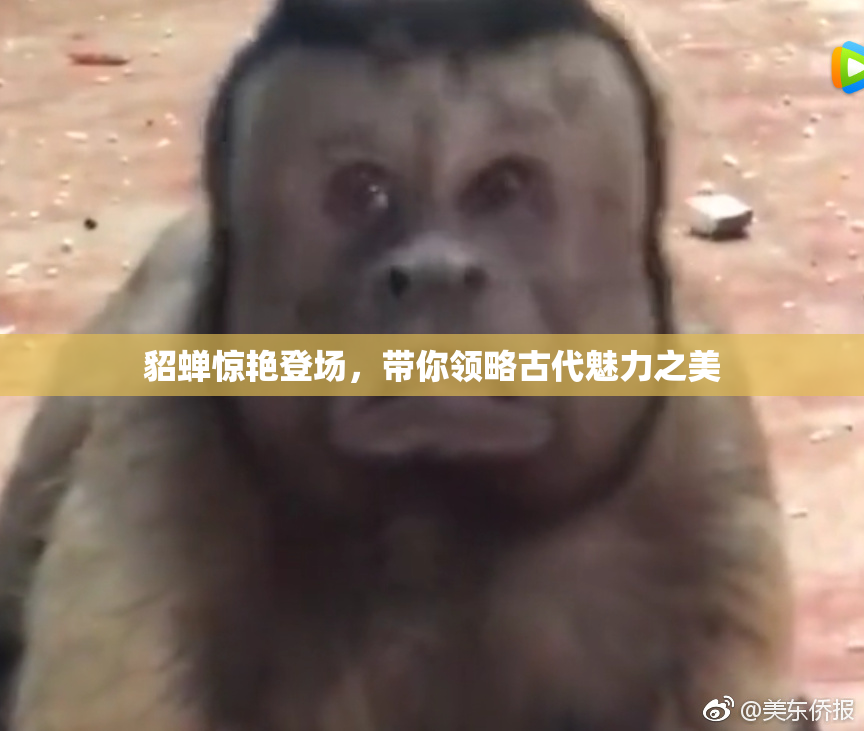 貂蝉惊艳登场，带你领略古代魅力之美