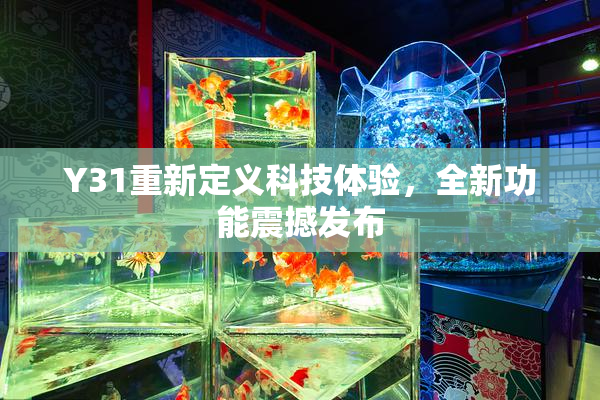 Y31重新定义科技体验，全新功能震撼发布