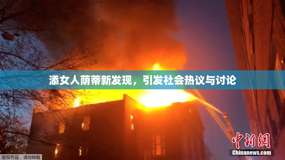 添女人荫蒂新发现，引发社会热议与讨论