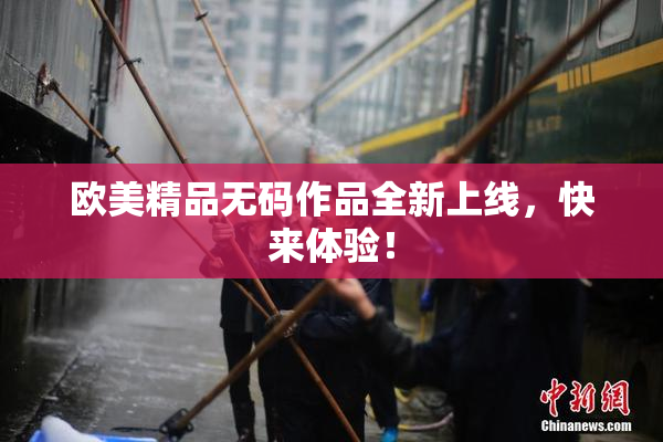 欧美精品无码作品全新上线，快来体验！