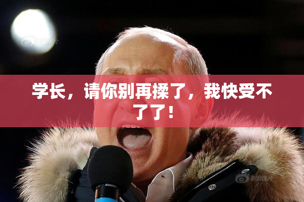学长，请你别再揉了，我快受不了了！