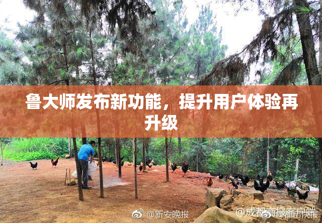 鲁大师发布新功能，提升用户体验再升级