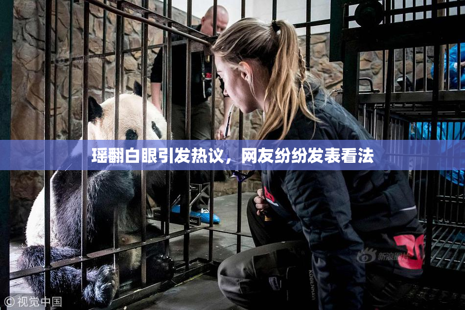 瑶翻白眼引发热议，网友纷纷发表看法