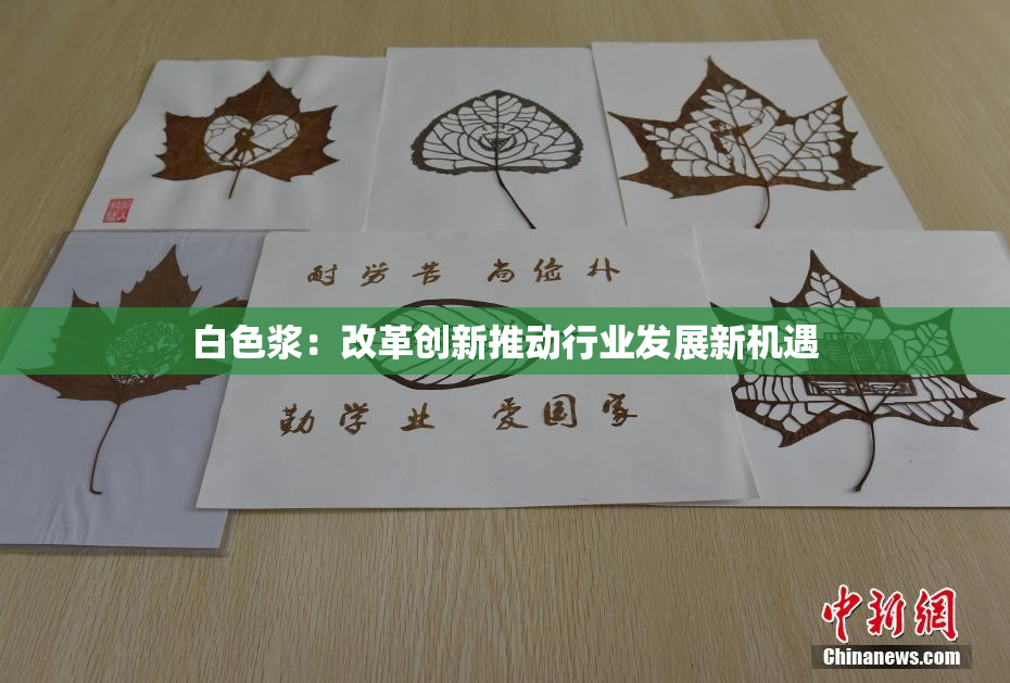 白色浆：改革创新推动行业发展新机遇