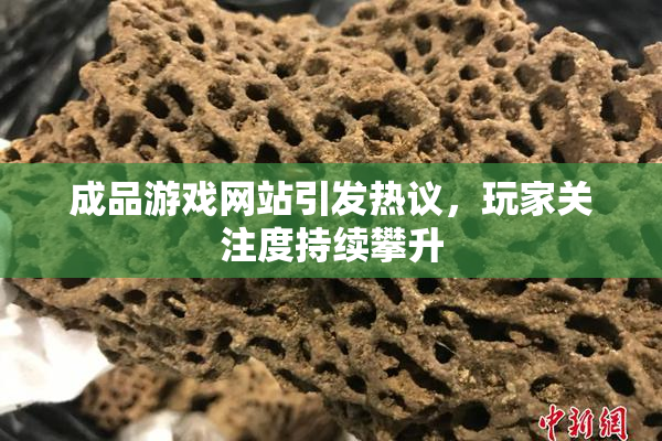 成品游戏网站引发热议，玩家关注度持续攀升