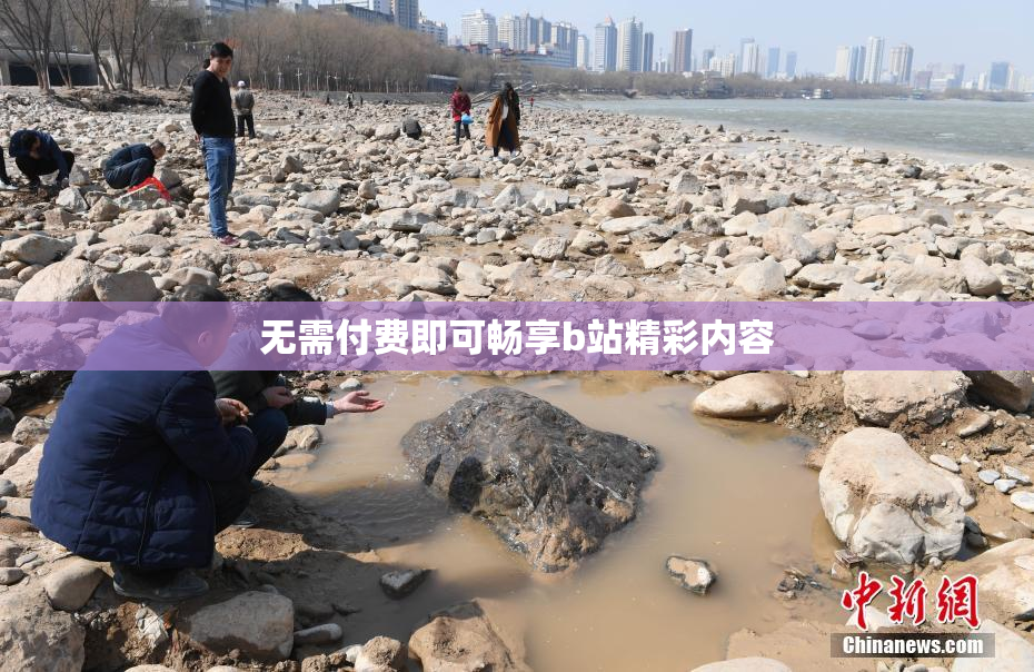 无需付费即可畅享b站精彩内容