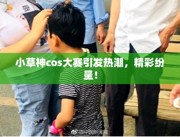 小草神cos大赛引发热潮，精彩纷呈！